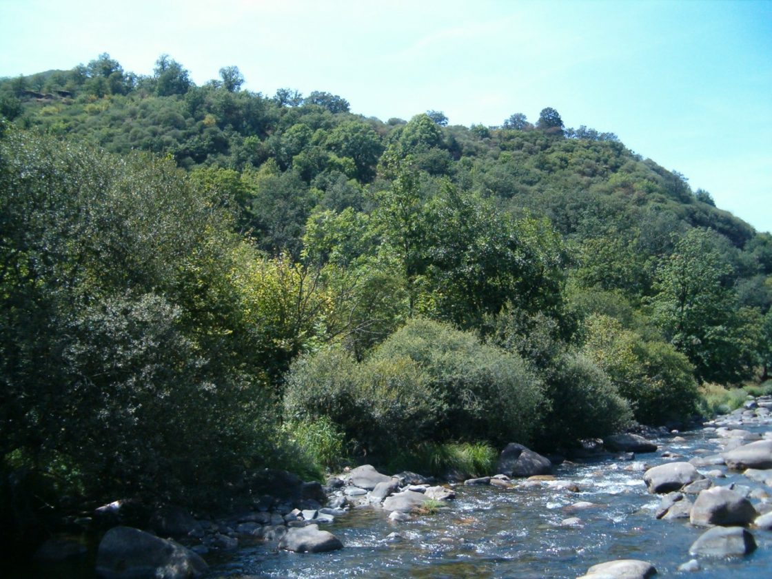 Río Sil